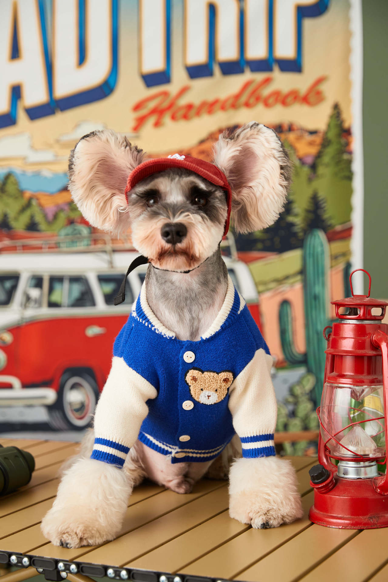 Trendy Pup Baseball Jacket