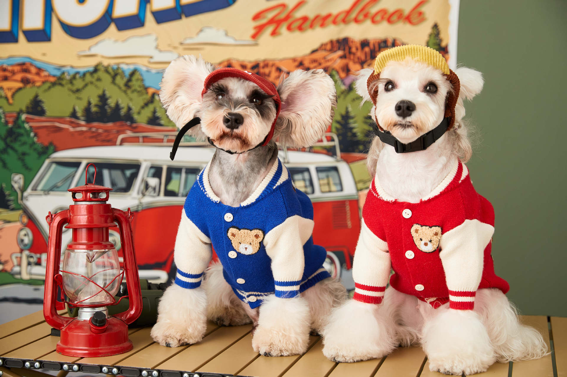 Trendy Pup Baseball Jacket