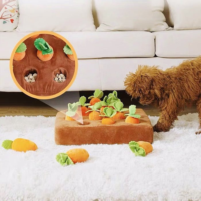 Ultra-soft Carrot Best Plush Toys