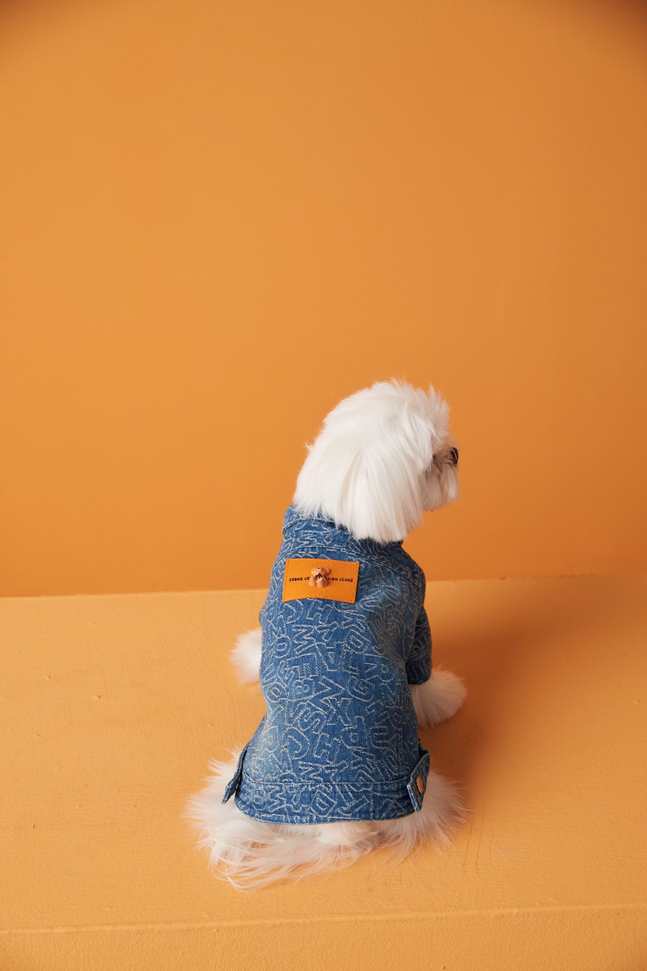 Vintage Distressed Denim Jacket