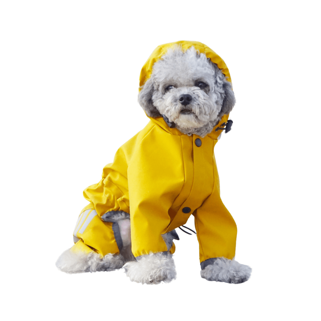 Waterproof Full Coverage 4-Legged Raincoat